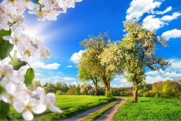 1.5. MÁJ LÁSKY ČAS - hlavní náhled