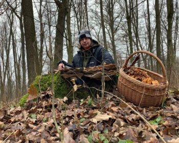 Přednáška Důmyslný svět hub