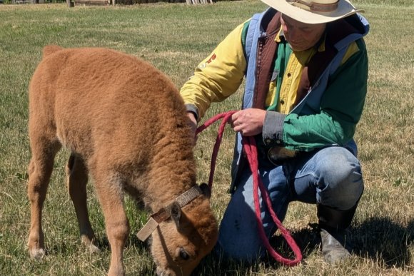 Létohrátky se zvířátky - hlavní náhled