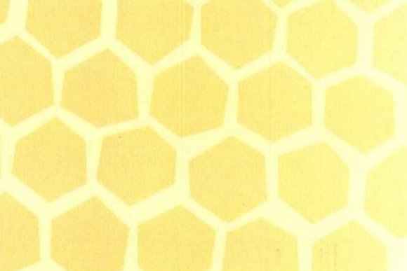 Med zázrak přírody - vědecky ověřené léčivé účinky medu a jejich praktické využití - hlavní náhled