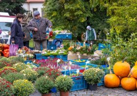 Akce na Vysočině tento víkend 9.10. - 11.10.