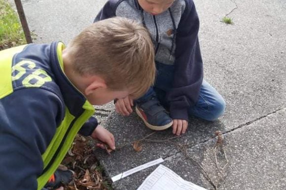 Vánoční stezka ve Strážku - hlavní náhled