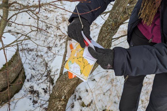 Novoměstské kufrování - hlavní náhled