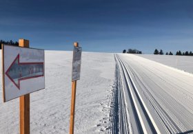 Lyžařské okruhy Svratka - 9 km
