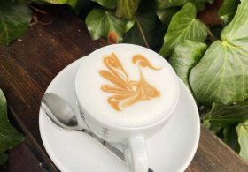Franqueza cafe