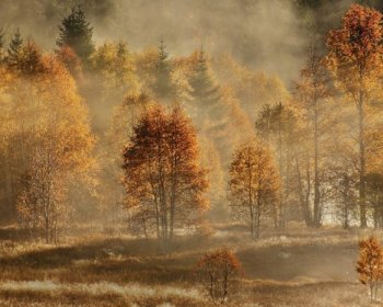 Josef Uhlíř: Výstava fotografií a fotoobrazů