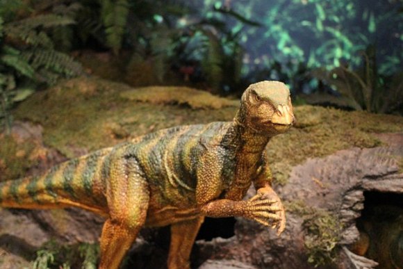 Dinopark na Horníku - hlavní náhled