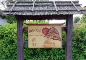 Bonsai zahrada Kněževes