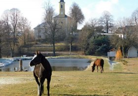 Kolem Olešné k zaniklému Pičulínu
