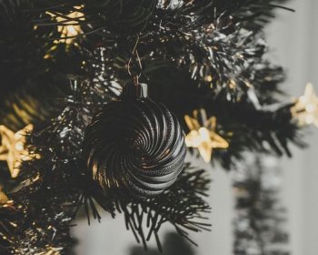 Vánoční trhy na Borovince