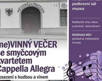 (ne)Vinný koncert se smyčcovým kvartetem Cappella Allegra