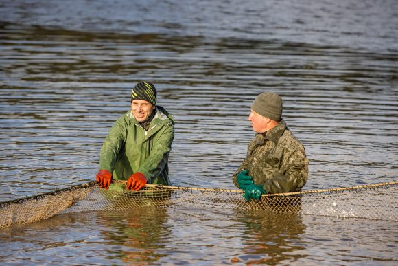 Výlov rybníka Kovárna - hlavní náhled