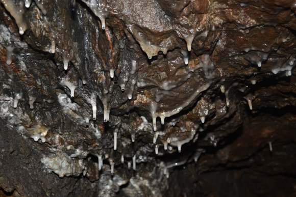 Mikrofotografií minerálů ze Štěpánovského rudného revíru - hlavní náhled