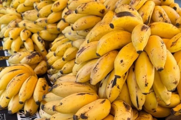 Africké trhy - hlavní náhled