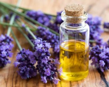 19.6. Levandulový den ve wellness se saunovým rituálem