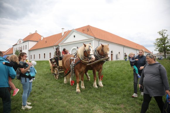 Den dětí a spolků v Bystřici - hlavní náhled