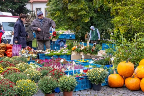 Akce na Vysočině tento víkend 9.10. - 11.10.