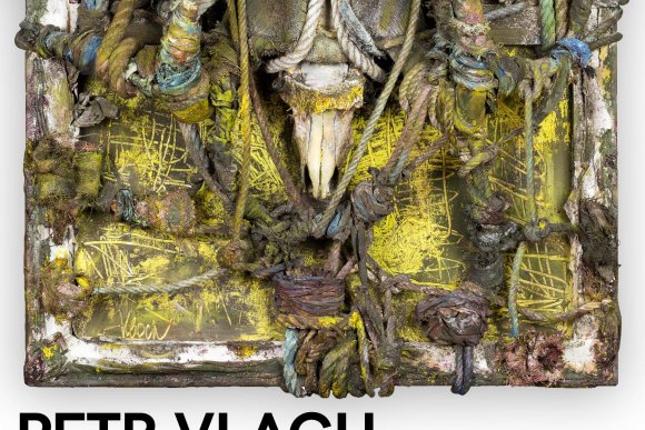 Výstava: Petr Vlach: Nespoutanost - hlavní náhled