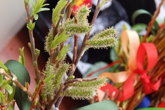 Velikonoční dílničky - hlavní náhled