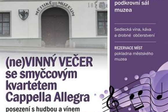 (ne)Vinný koncert se smyčcovým kvartetem Cappella Allegra - hlavní náhled