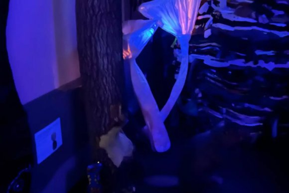 Co se děje v noci - hlavní náhled