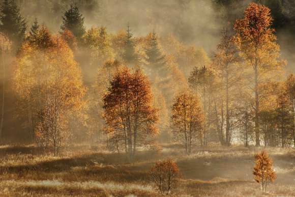 Josef Uhlíř: Výstava fotografií a fotoobrazů - hlavní náhled