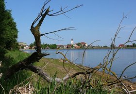 Naučná vodní stezka Veselský rybník - 2,5km
