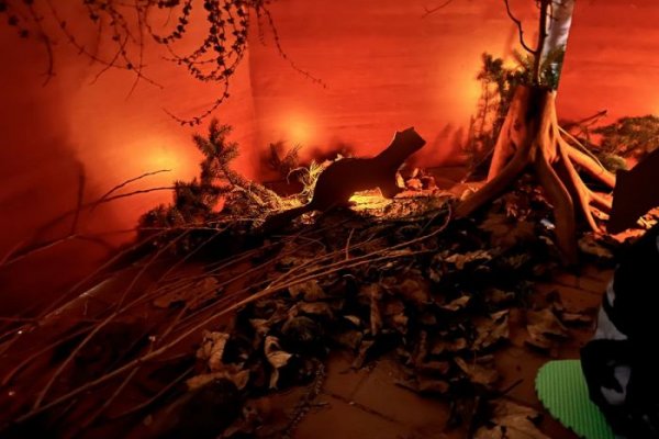 Akce na Vysočině tento víkend 6.3. - 8.3.