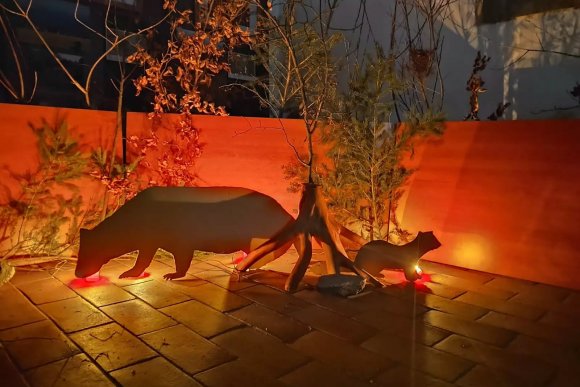 Co se děje v noci - hlavní náhled