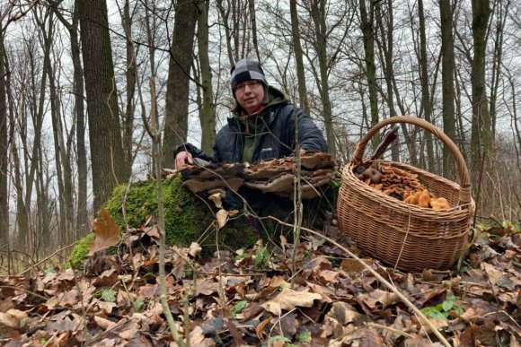 Přednáška Důmyslný svět hub - hlavní náhled