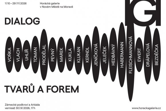 DIALOG TVARŮ A FOREM Spolek výtvarných umělců Vysočiny - hlavní náhled