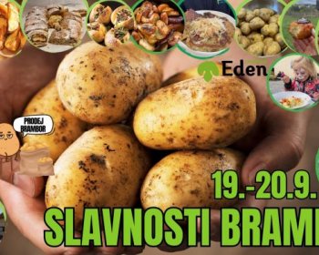 Slavnosti brambor