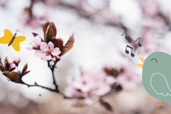 Festival jara na Medlově - hlavní náhled