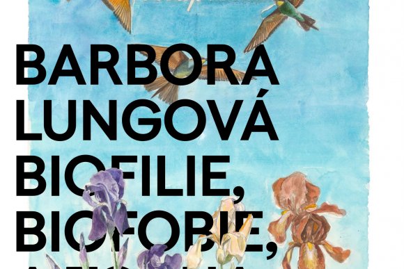Komentovaná prohlídka výstavy s Barborou Lungovou - hlavní náhled
