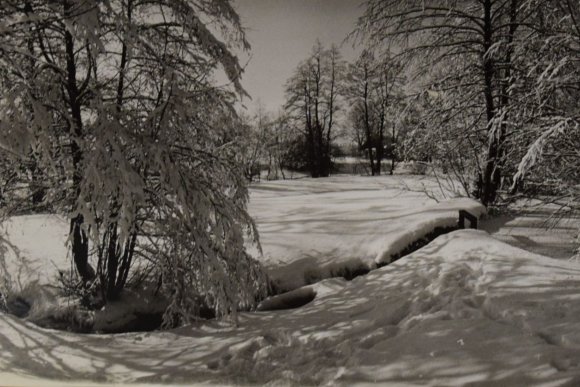 Zimní krajiny Jaroslava Hecla - hlavní náhled