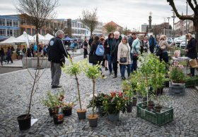 Akce na Vysočině tento víkend 17.4. - 19.4.