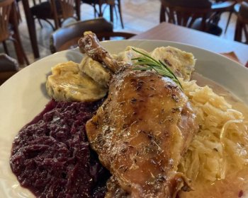 Svatomartinské hody na Horníku