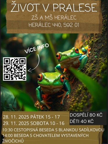 Heralec zivot v pralese