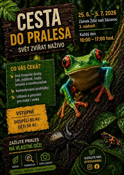 Zdarns cesta do pralesa
