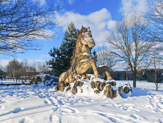 617455435 1476934314439573 4010961261942162444 n11