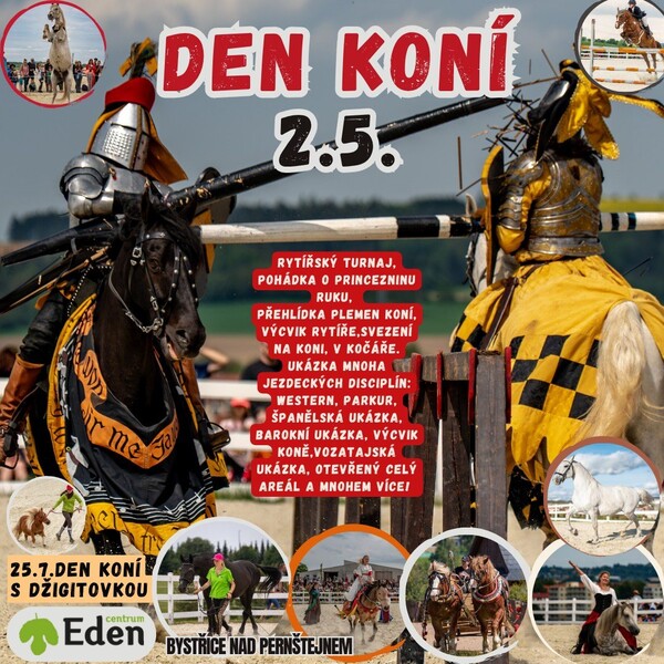 658447905 1542233044104478 4257953847369268474 n