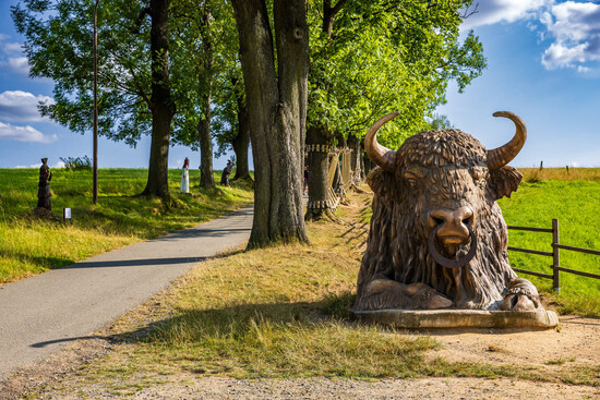 Aktivni dovolena sport a relax 13