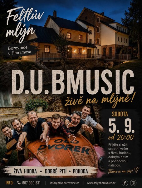 Borovnice dubmusic