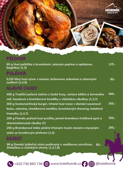 Hornik svatymartin 2