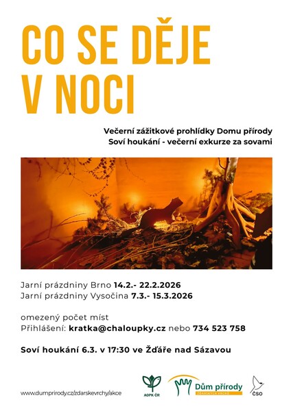 Kratka co se deje v noci