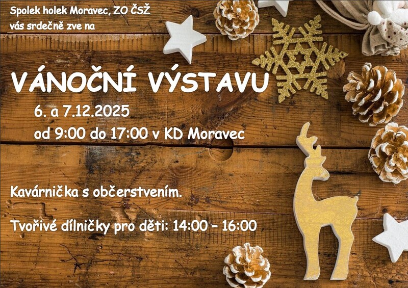 Moravec vanocnivystava