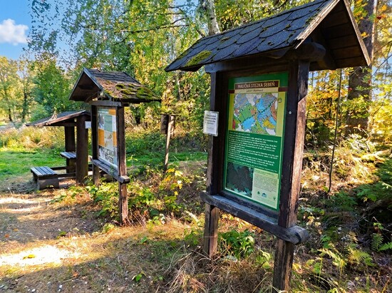 Podzim Bobruvka cesta 04