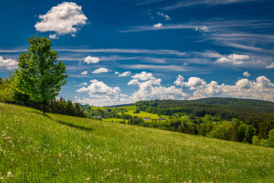 Snezne clanek souhrn 1