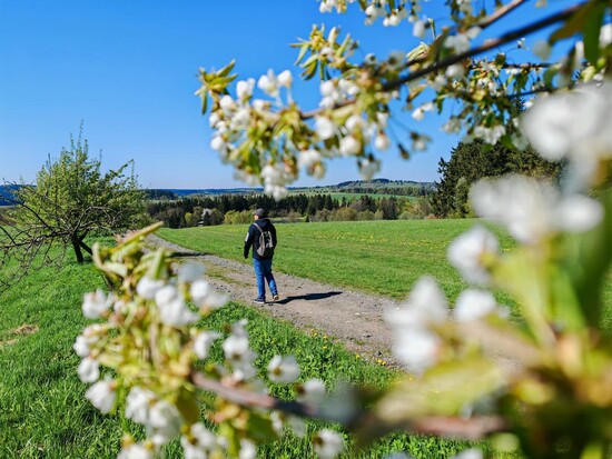 Snezne clanek souhrn 14