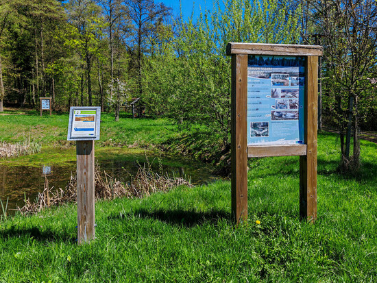 Snezne clanek souhrn 20